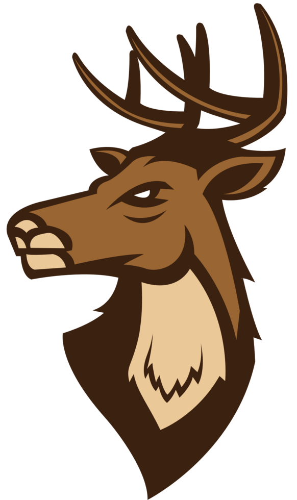Deer vector