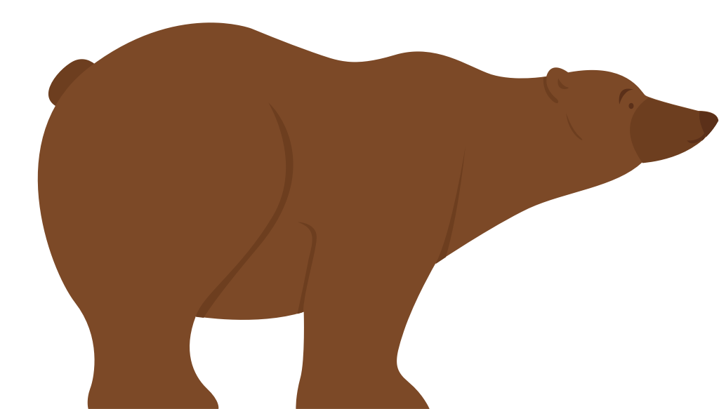 Bear vector