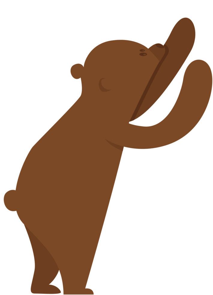 Bear vector