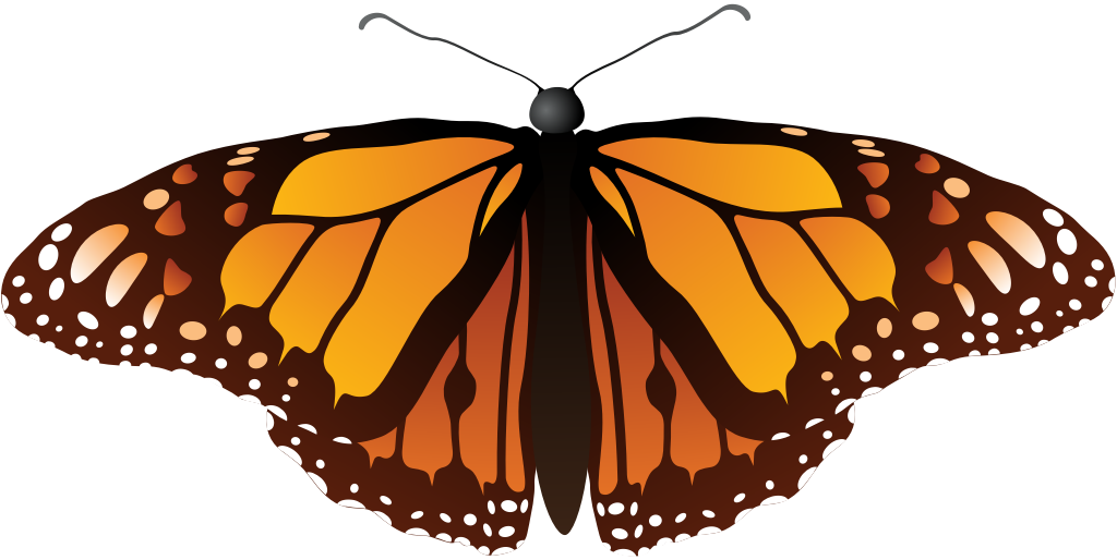 Butterfly vector