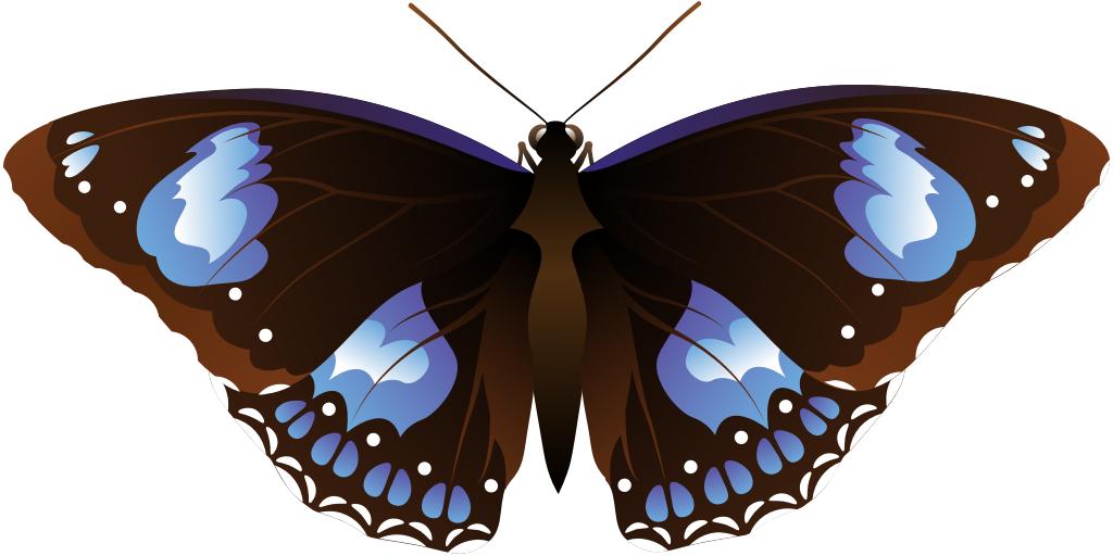 Butterfly vector