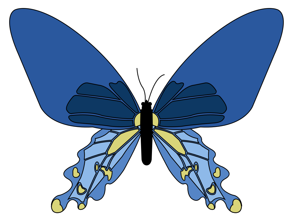 Butterfly vector
