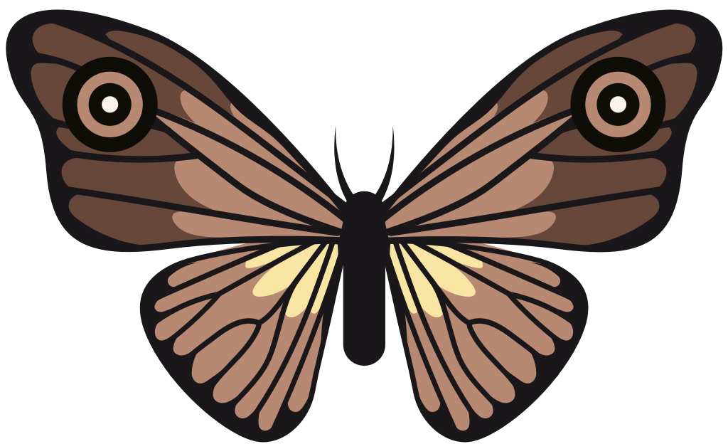 Butterfly vector