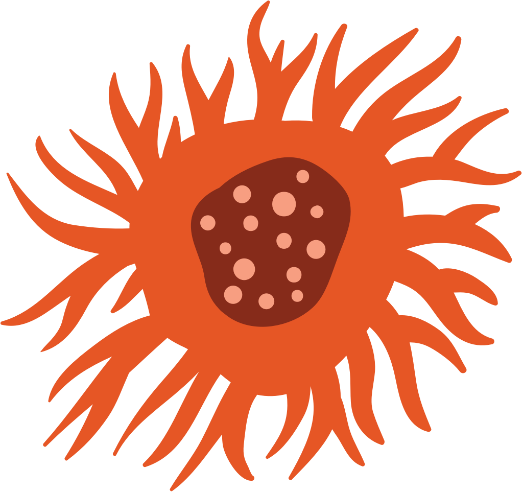 Neuron vector