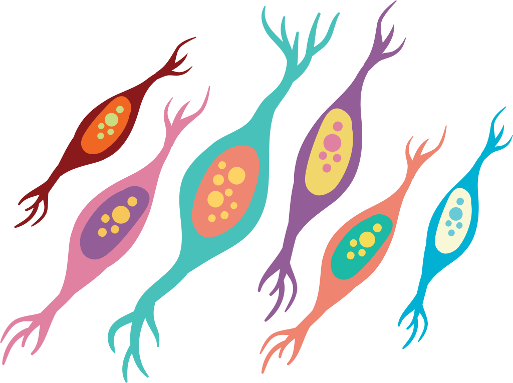 Neuron vector