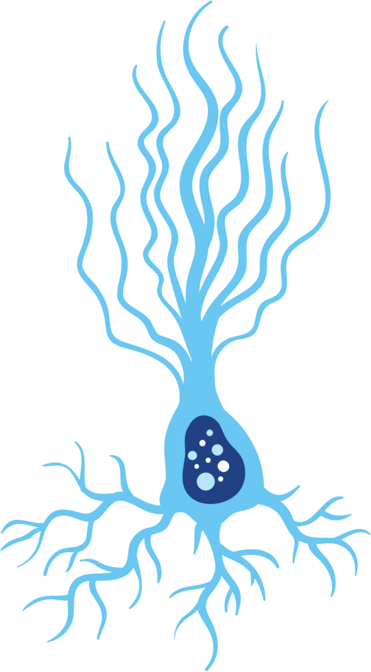 Neuron vector