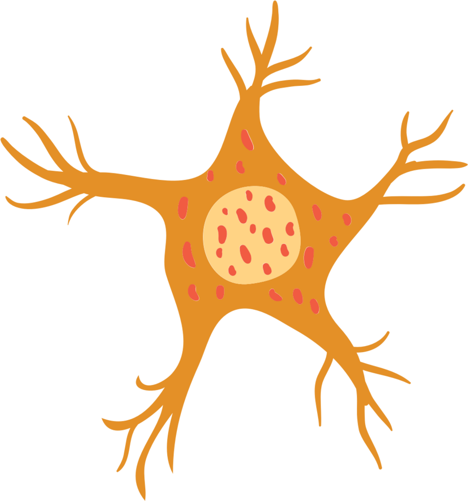 Neuron vector