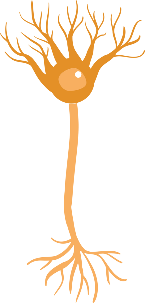 Neuron vector