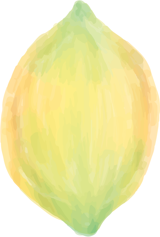 Lemon vector