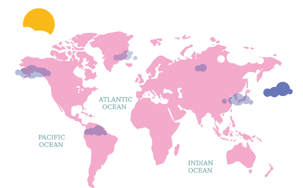 World Map vector