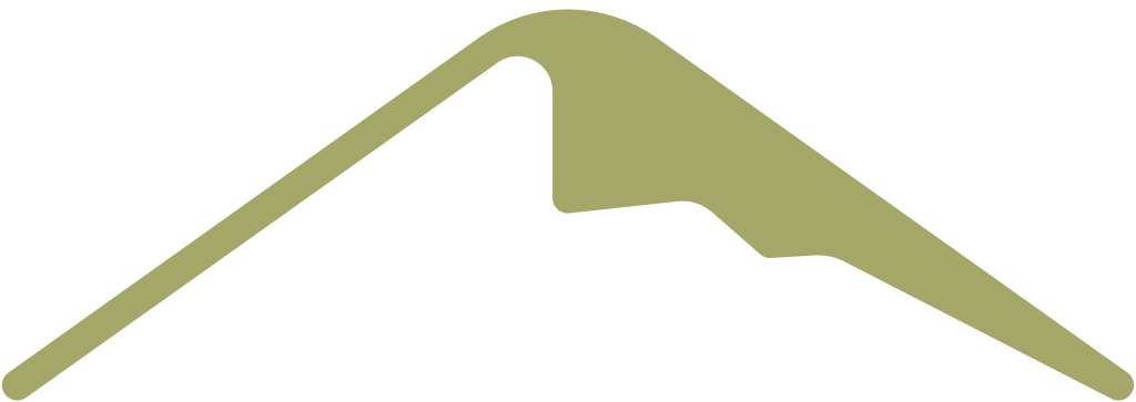 Mountain vector