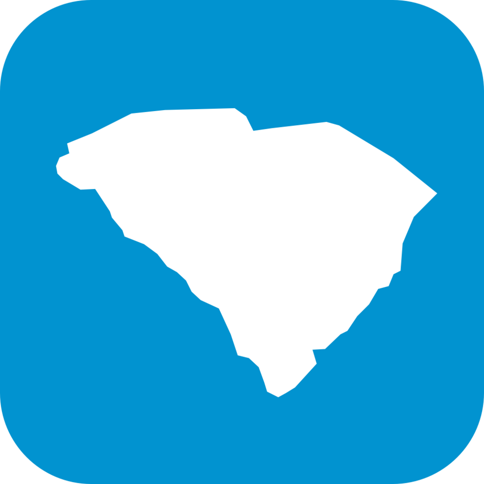 South Carolina vector