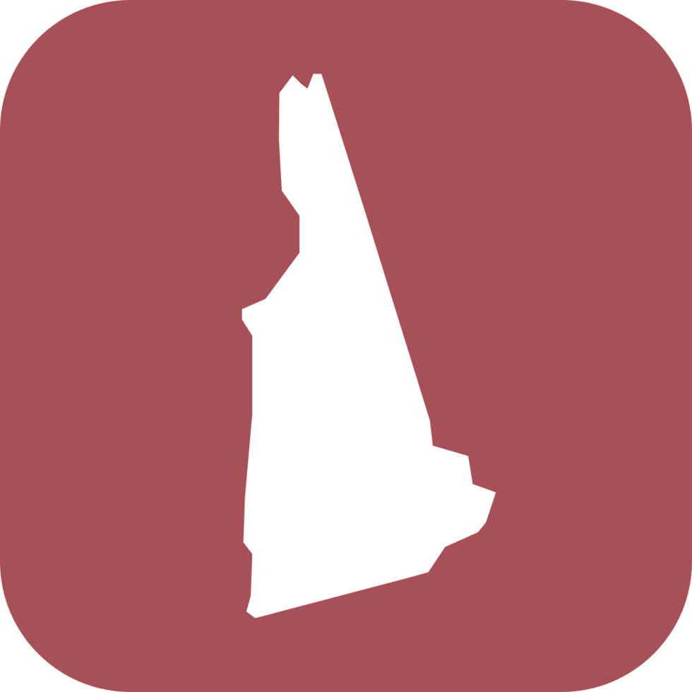 New Hampshire vector