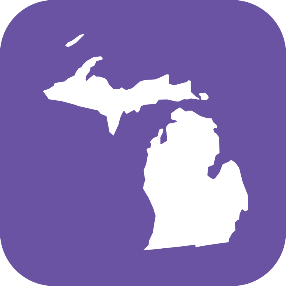 Michigan vector