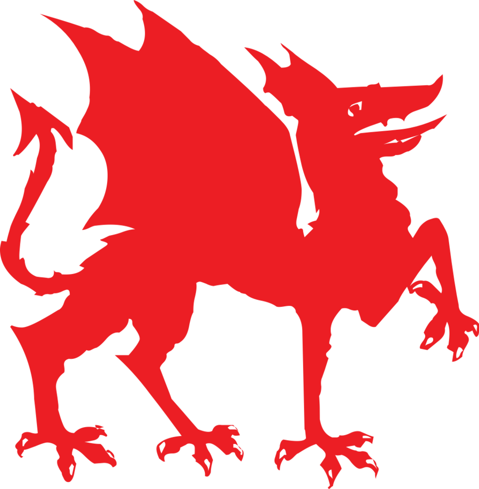 Dragon vector