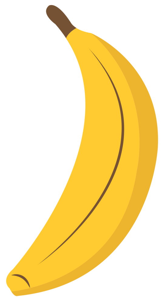 Banana vector