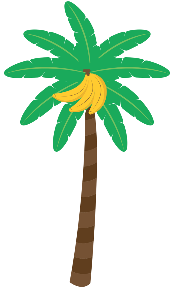 Palm Tree vector