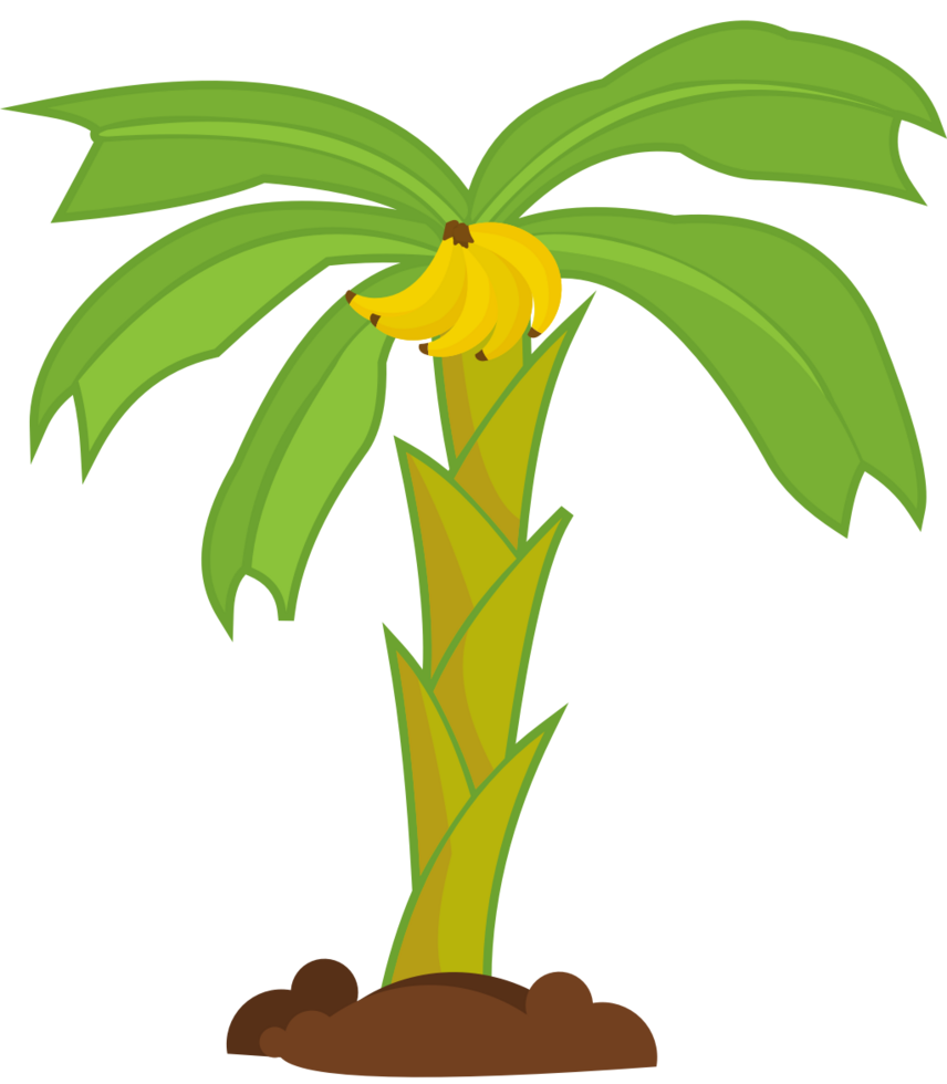 Palm Tree vector