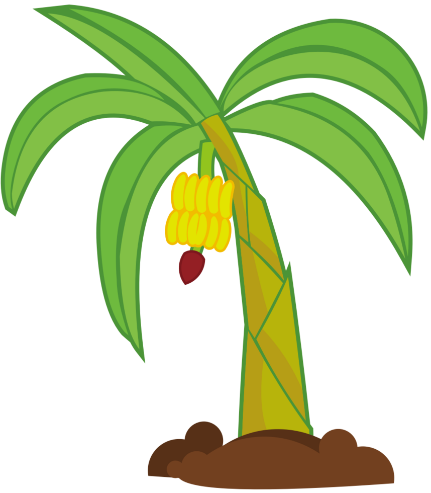 Palm Tree vector