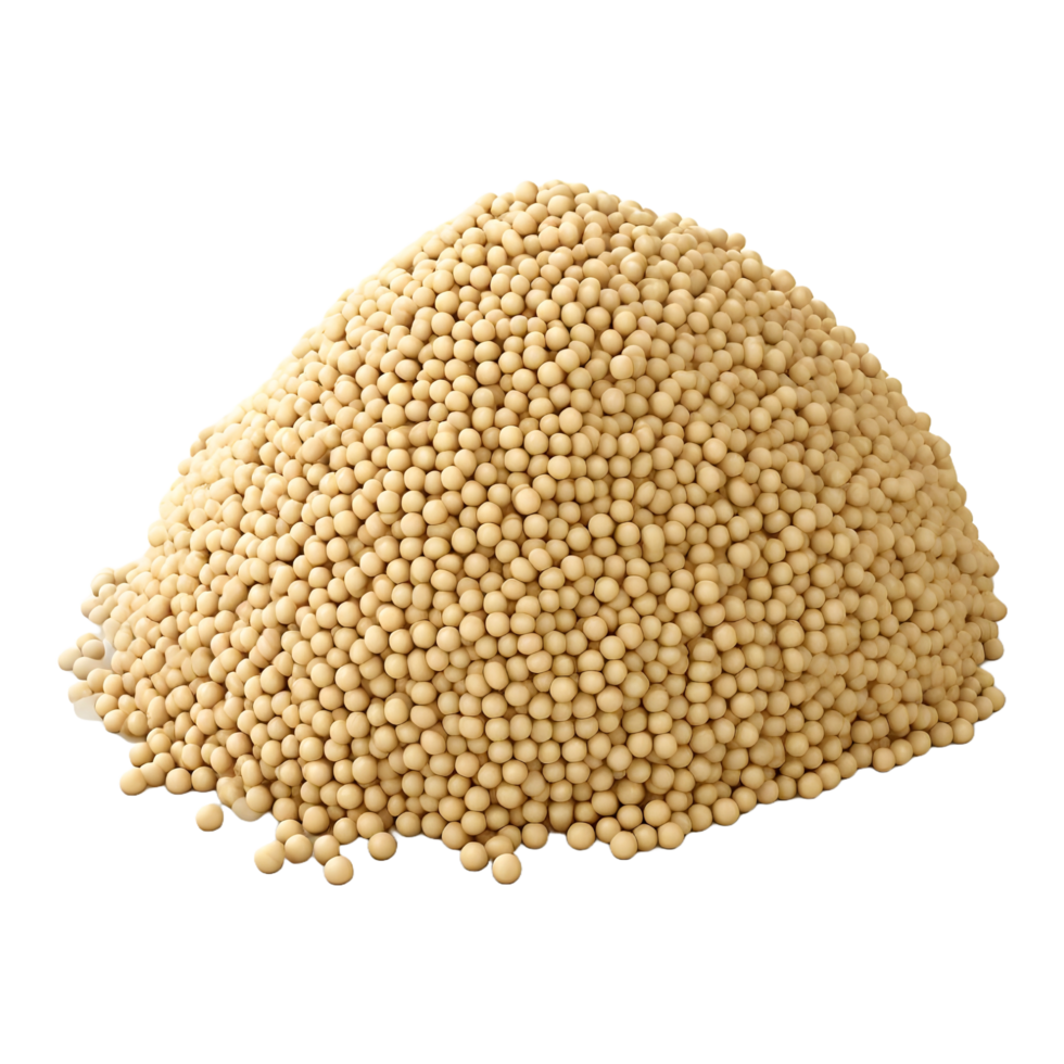 AI generated Soybean or Husk on Transparent background - Ai Generated png