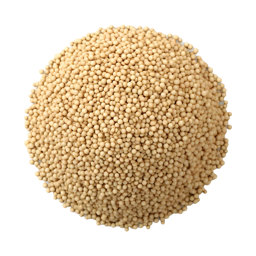 AI generated Soybean or Husk on Transparent background - Ai Generated png