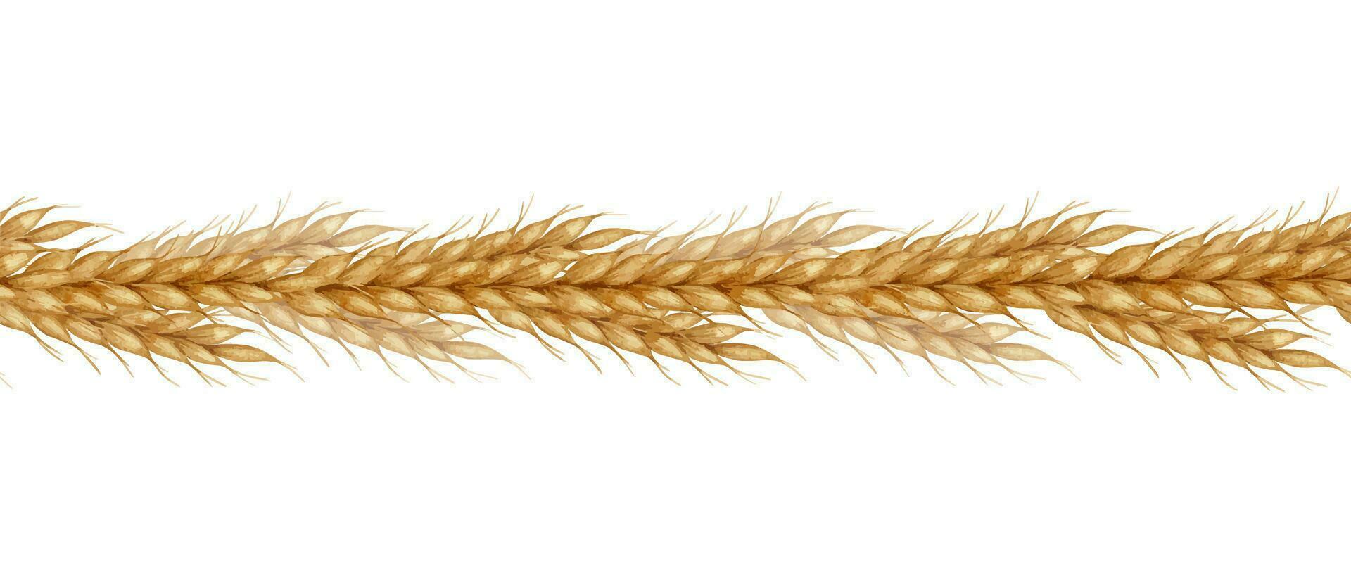 Ears of wheat. Watercolor seamless border of Cereal ears. Banner for bakeries, bakehouses confectioner. Bakery. For design of labels and packaging of goods, cards, shops, poster, banner, flyer vector