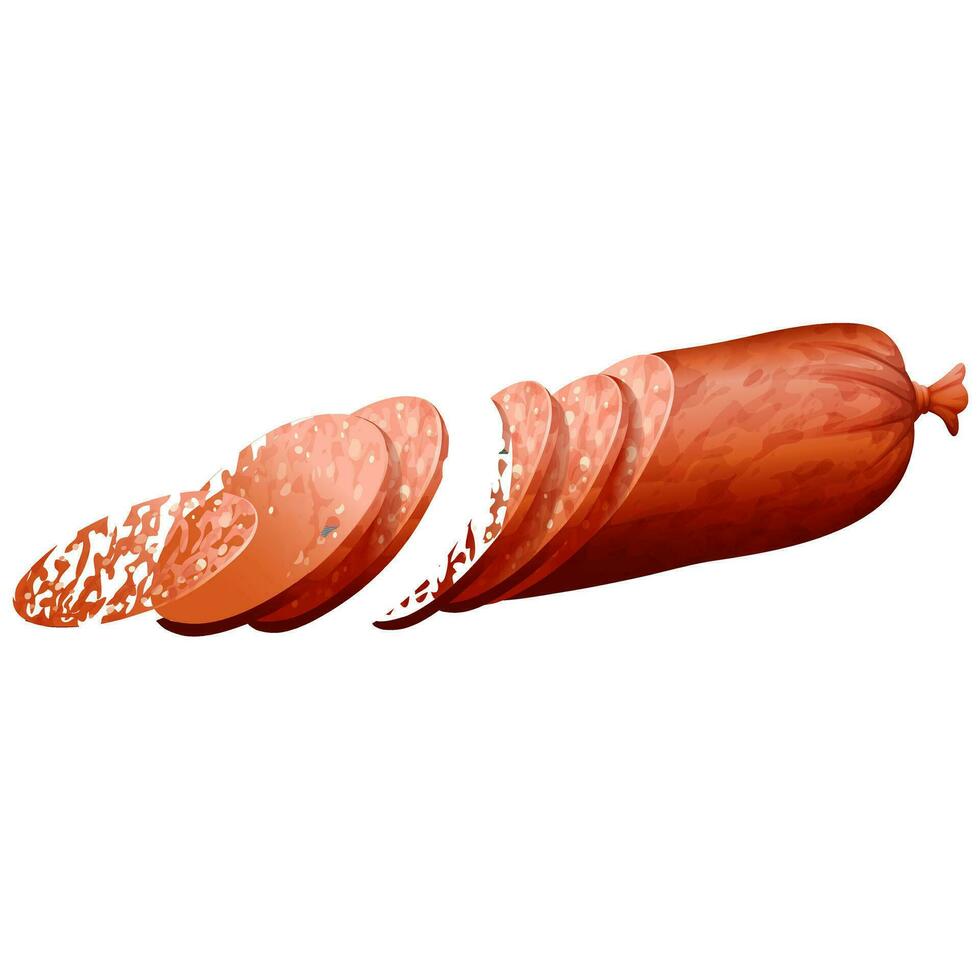 Salami sausage realistic vector