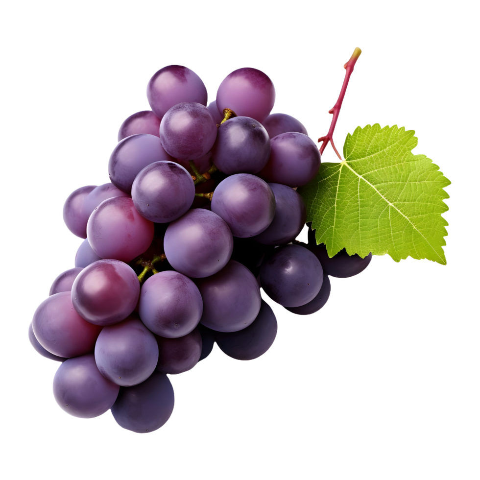 AI generated Purple Grapes with leaves on Transparent background - Ai Generated png