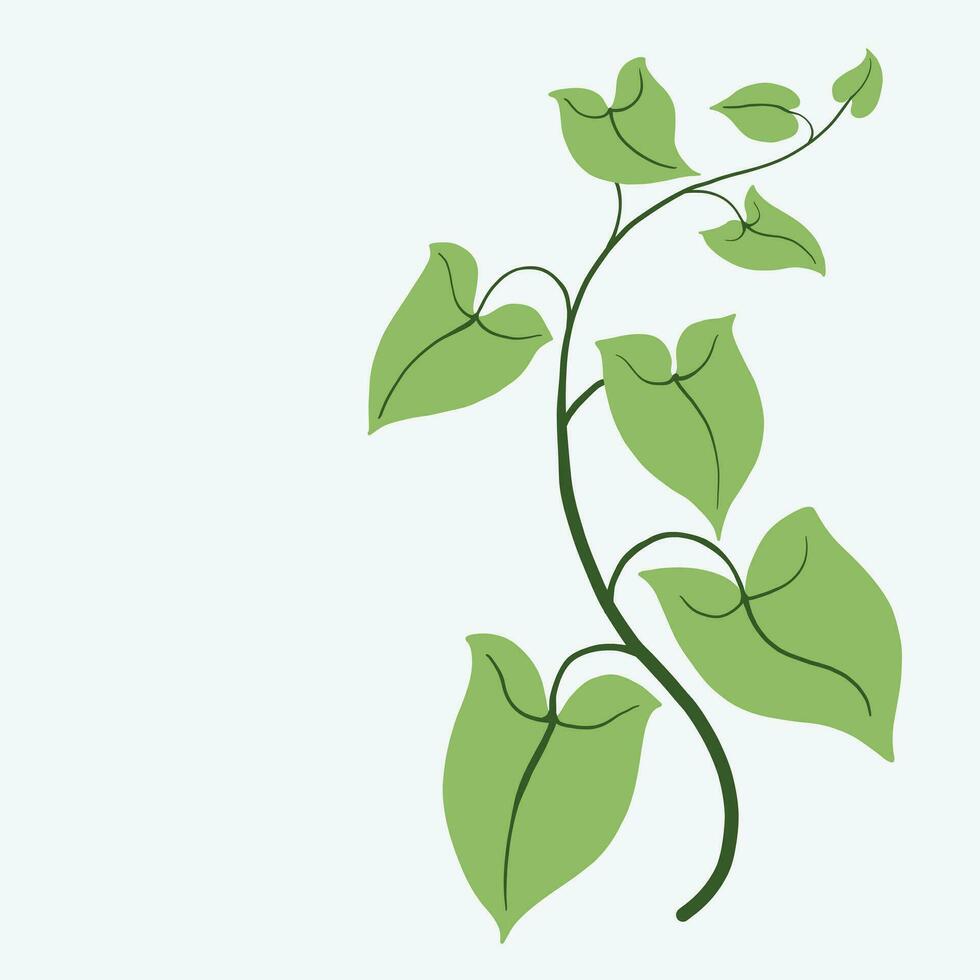 Floral ivy drawing decorative ornament flat design. vector