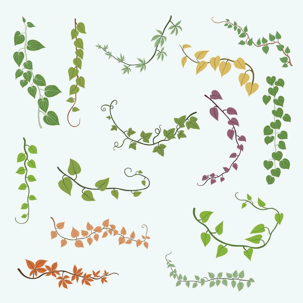 Floral ivy drawing decorative ornament flat design collection. vector