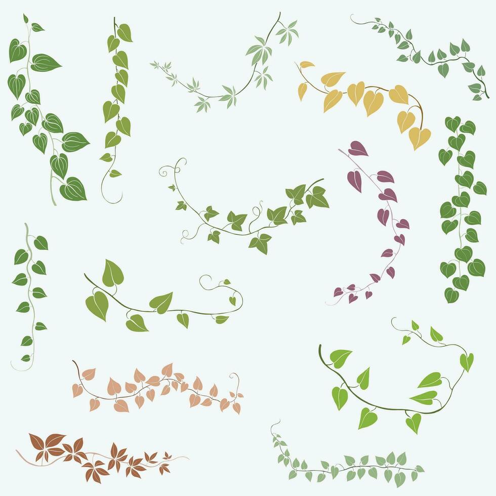 Floral ivy drawing decorative ornament flat design collection. vector