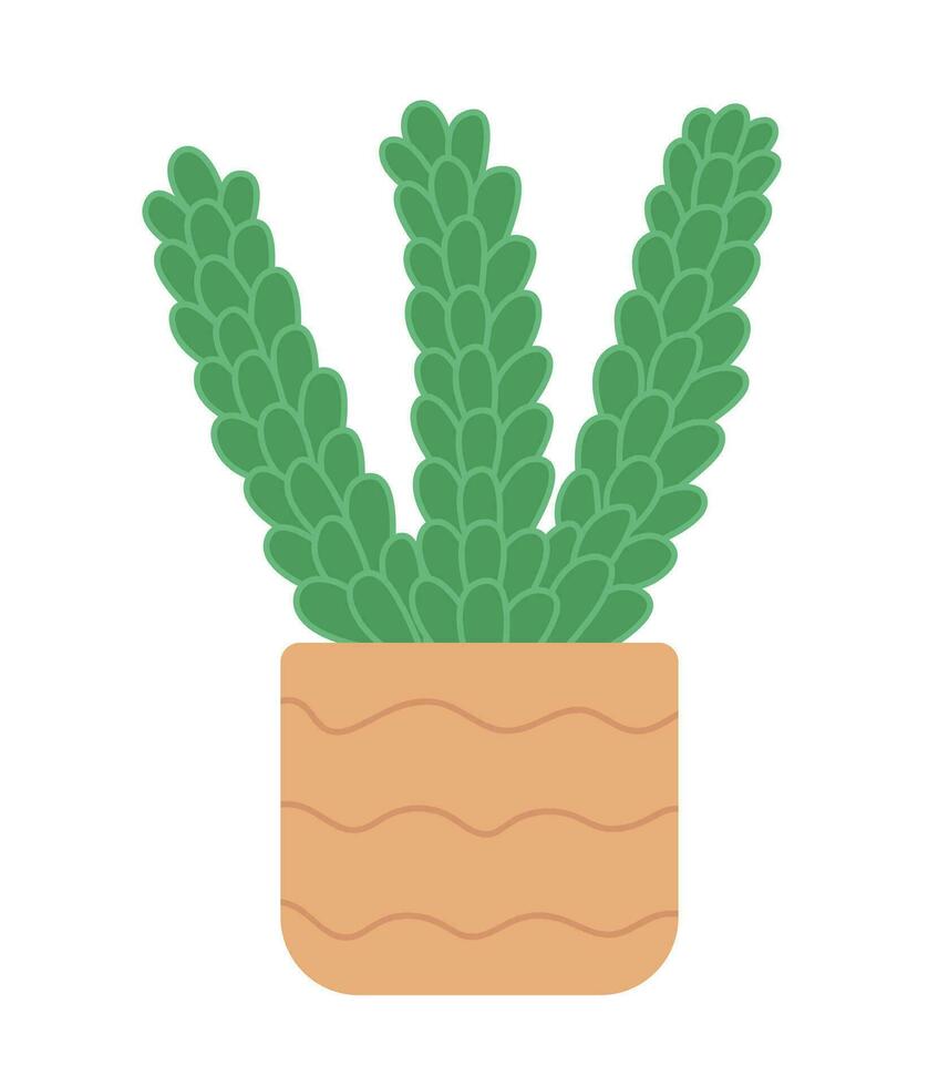 Succulent plant in pot vector flat illustration. Cactus plant in ceramic pot