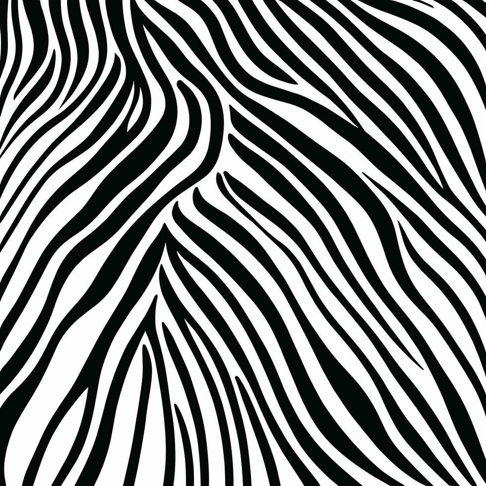 Zebra pattern striped line texture pattern illustration vector