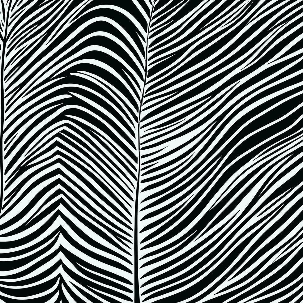Zebra pattern striped line texture pattern illustration vector