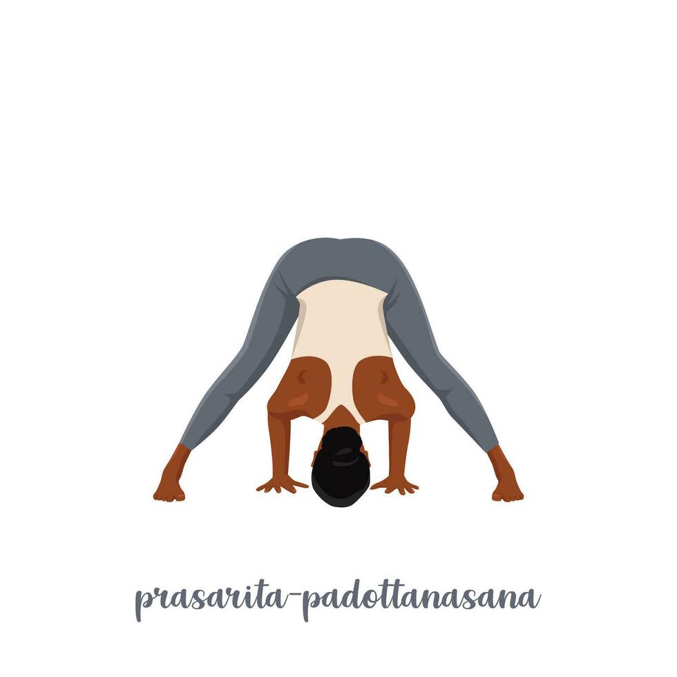 Woman doing prasarita padottanasana position. Wide legged forward bend pose. vector