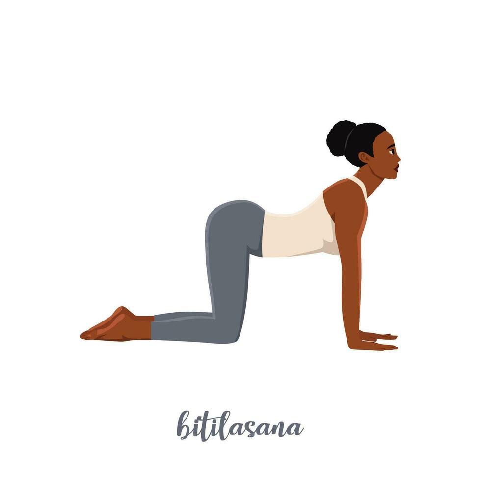 mujer haciendo vaca yoga pose. bitilasana. vector