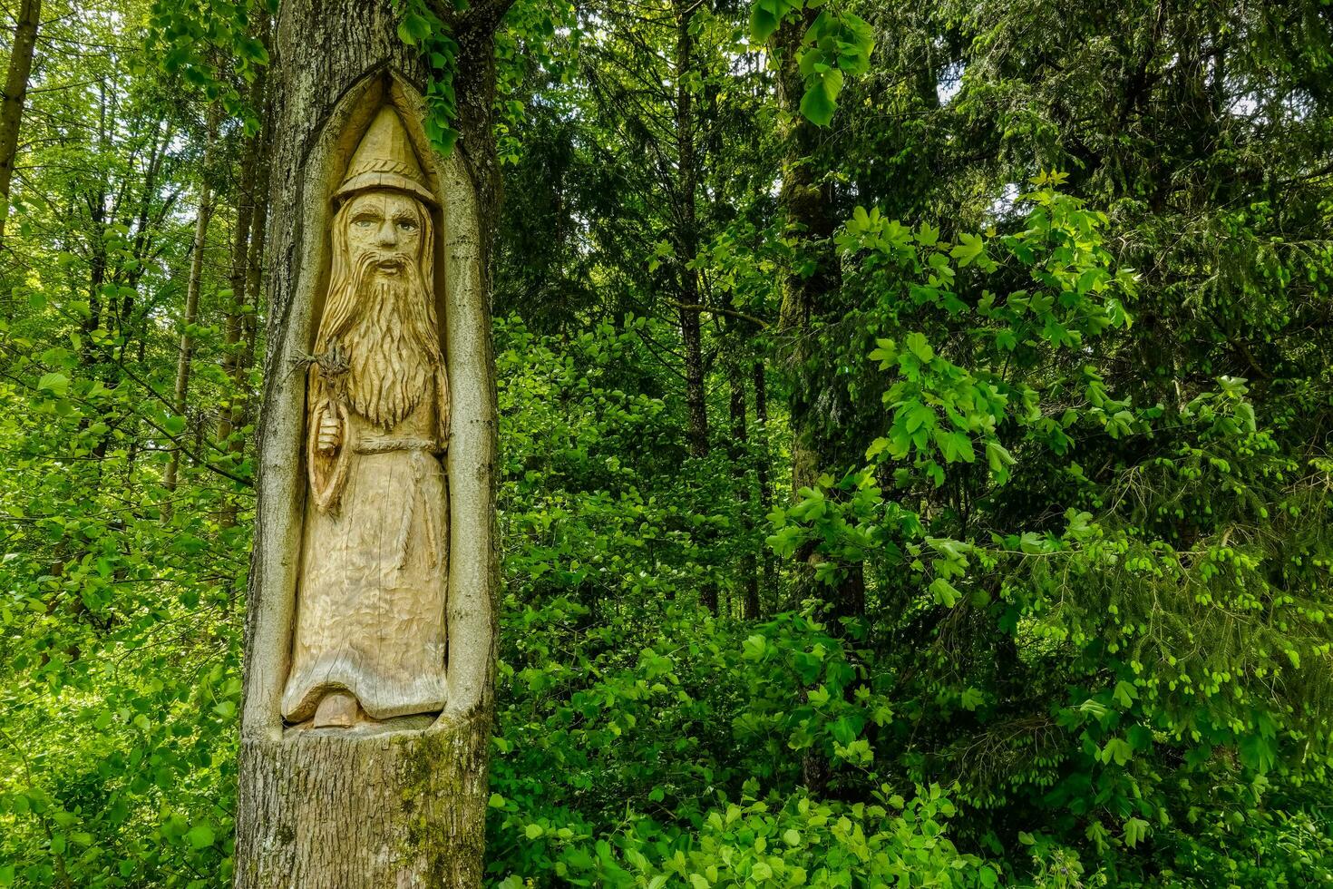 tallado árbol con un Santo figura en un verde bosque detalle foto