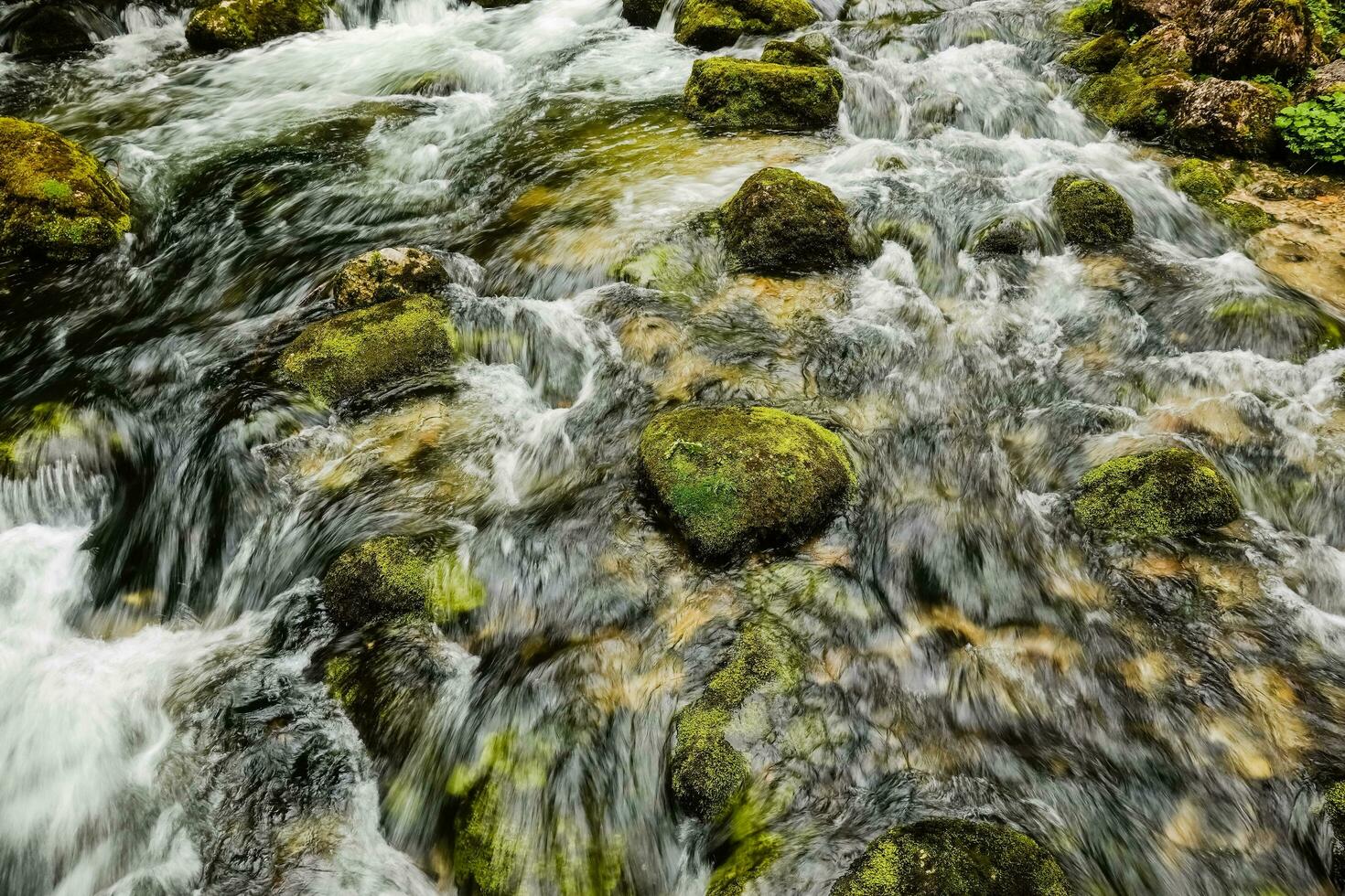 stones with green moss in a cold clear brook photo