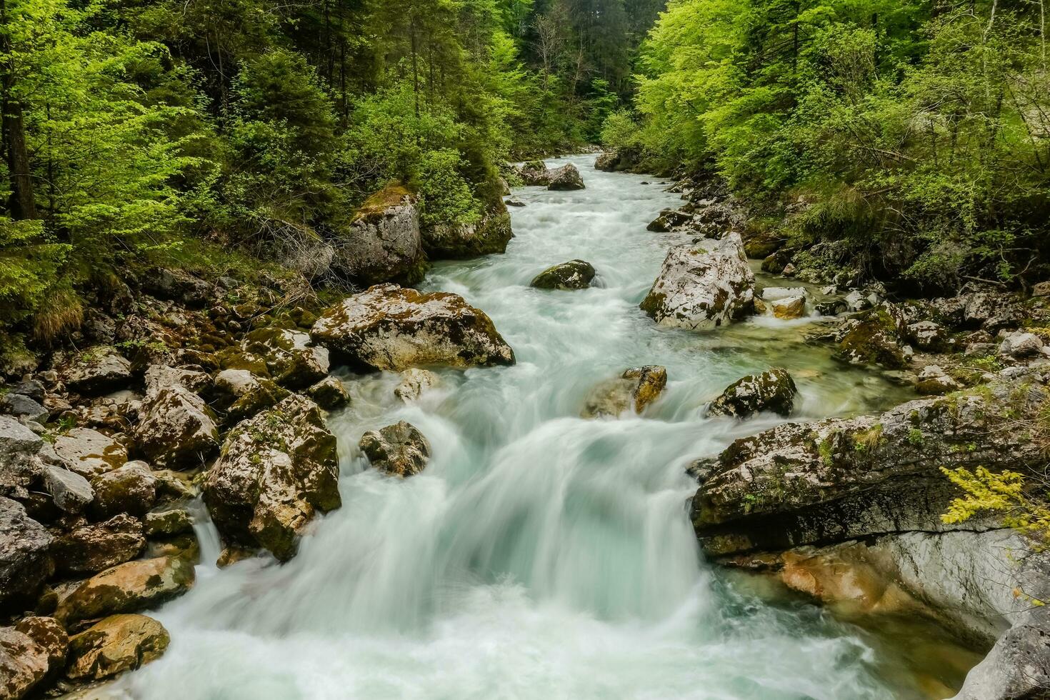 corriendo torrente con blanco agua y rocas en verde naturaleza foto