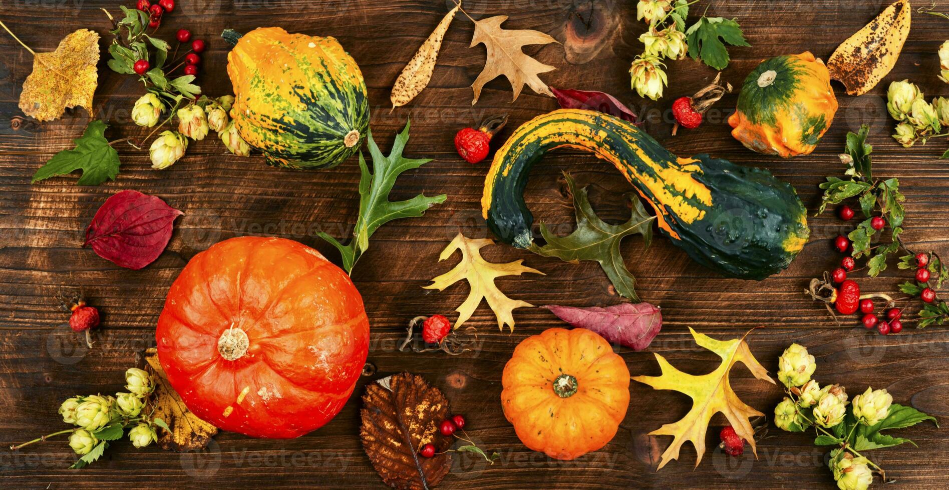 Autumn herbarium and pumpkins photo