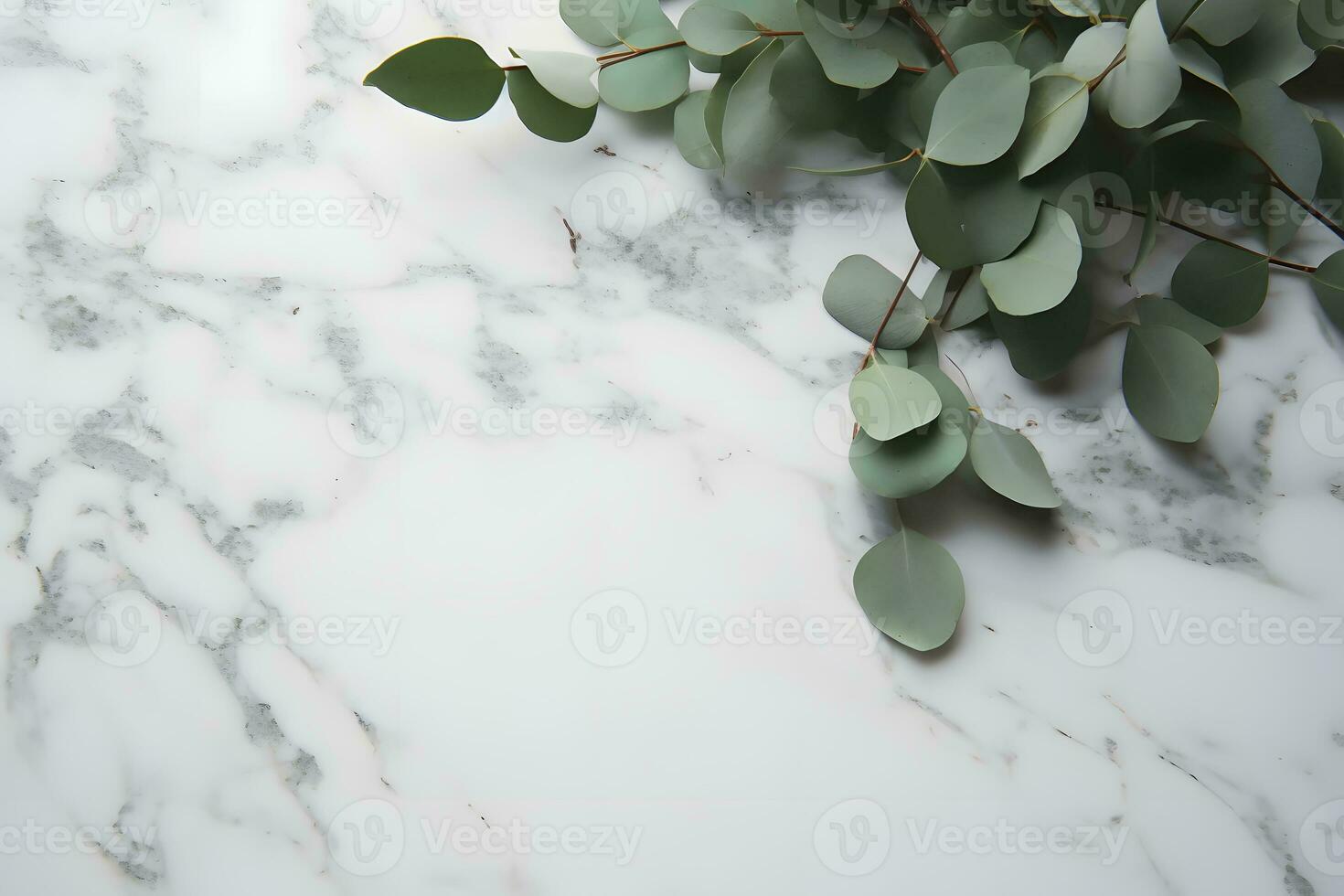 AI generated Branches of eucalyptus leaves on a marble background photo