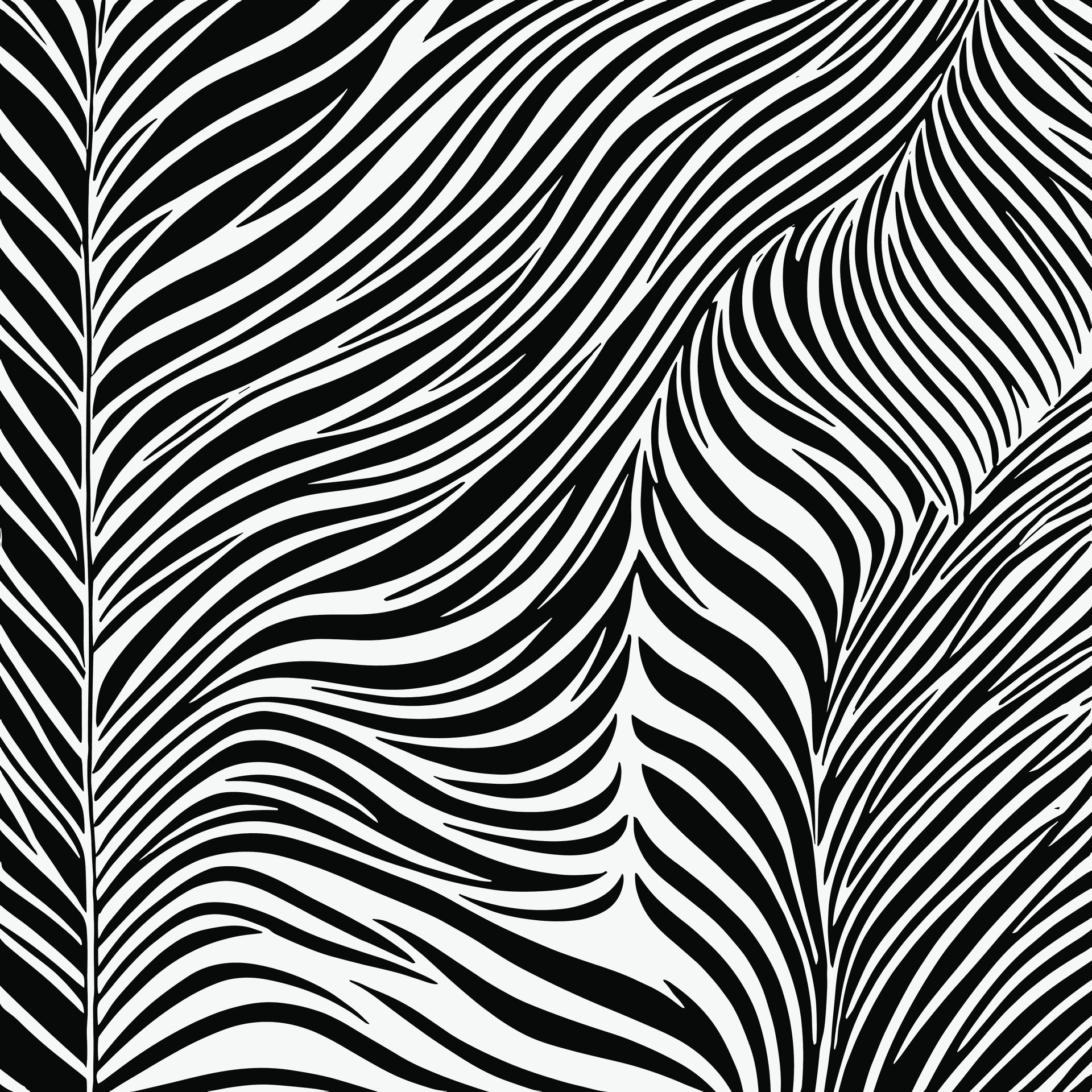 Zebra pattern striped line texture pattern illustration 36709879 Vector