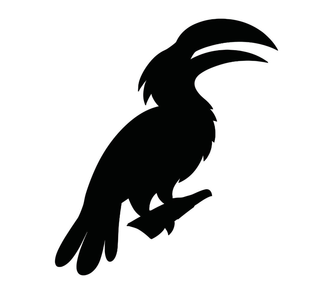 African gray hornbill vector. African gray hornbill vector icon in flat style.