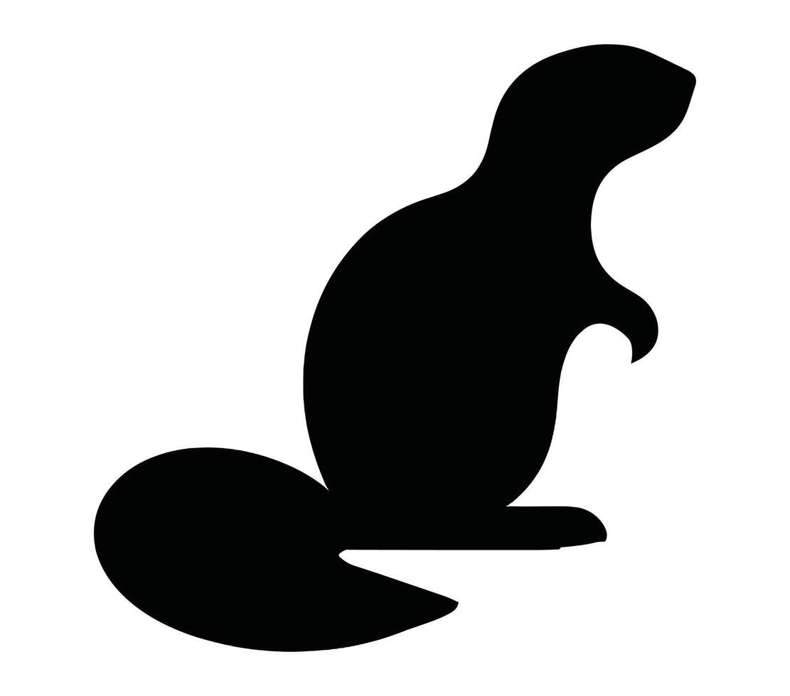 African ground squirrel vector illustration on white background.