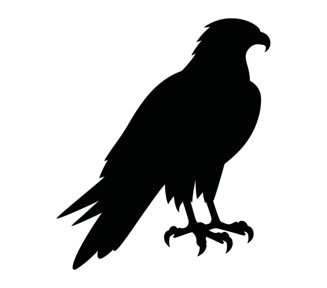 African Harrier Hawk Silhouette Stock Vector Illustration.