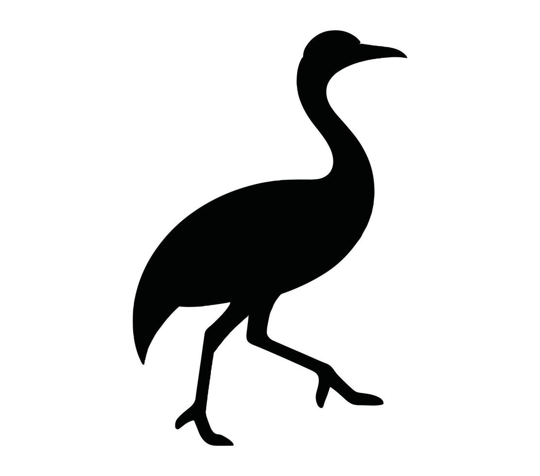 Vector graphic of african finfoot.