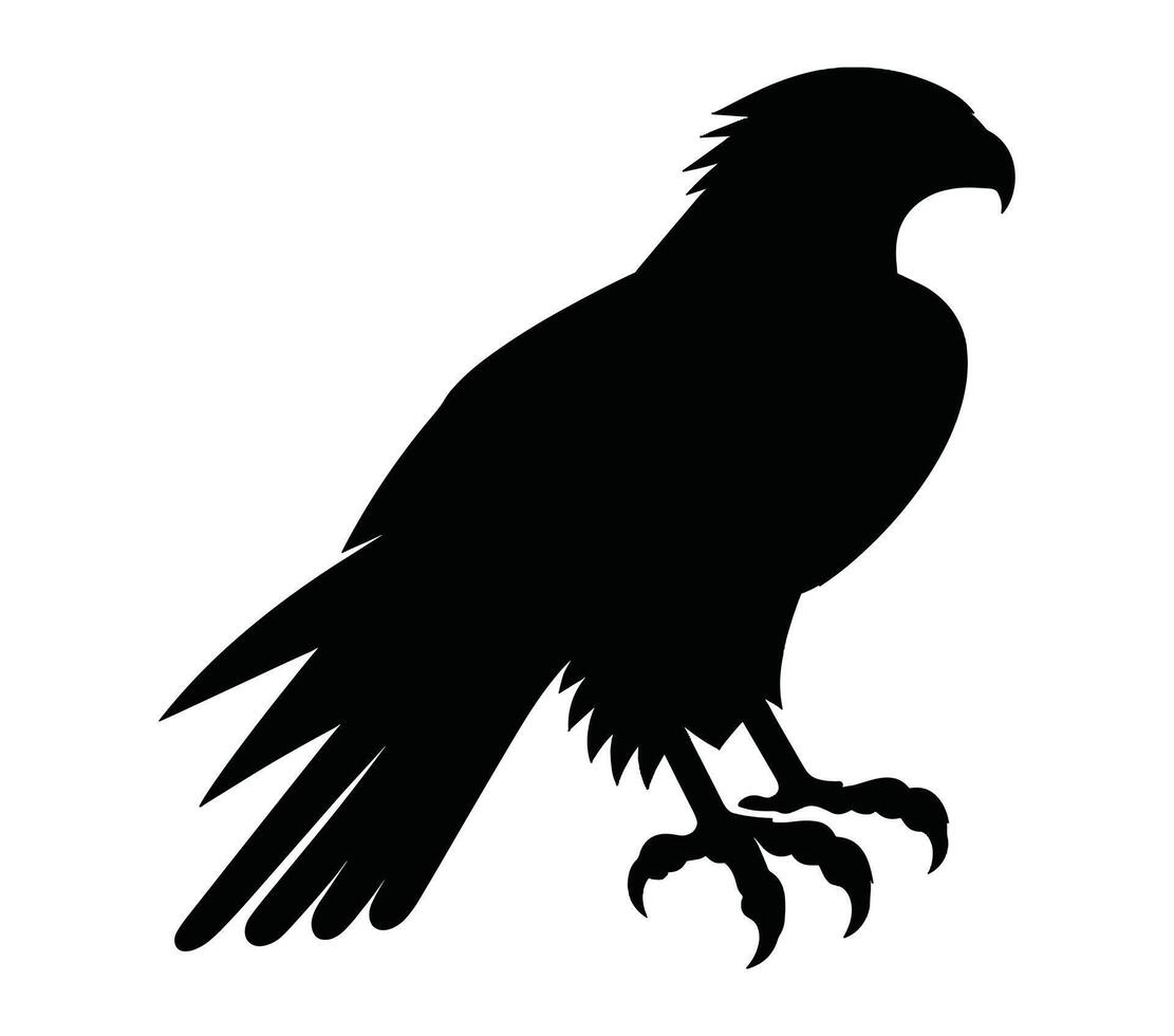 African harrier hawk vector illustration on white background.