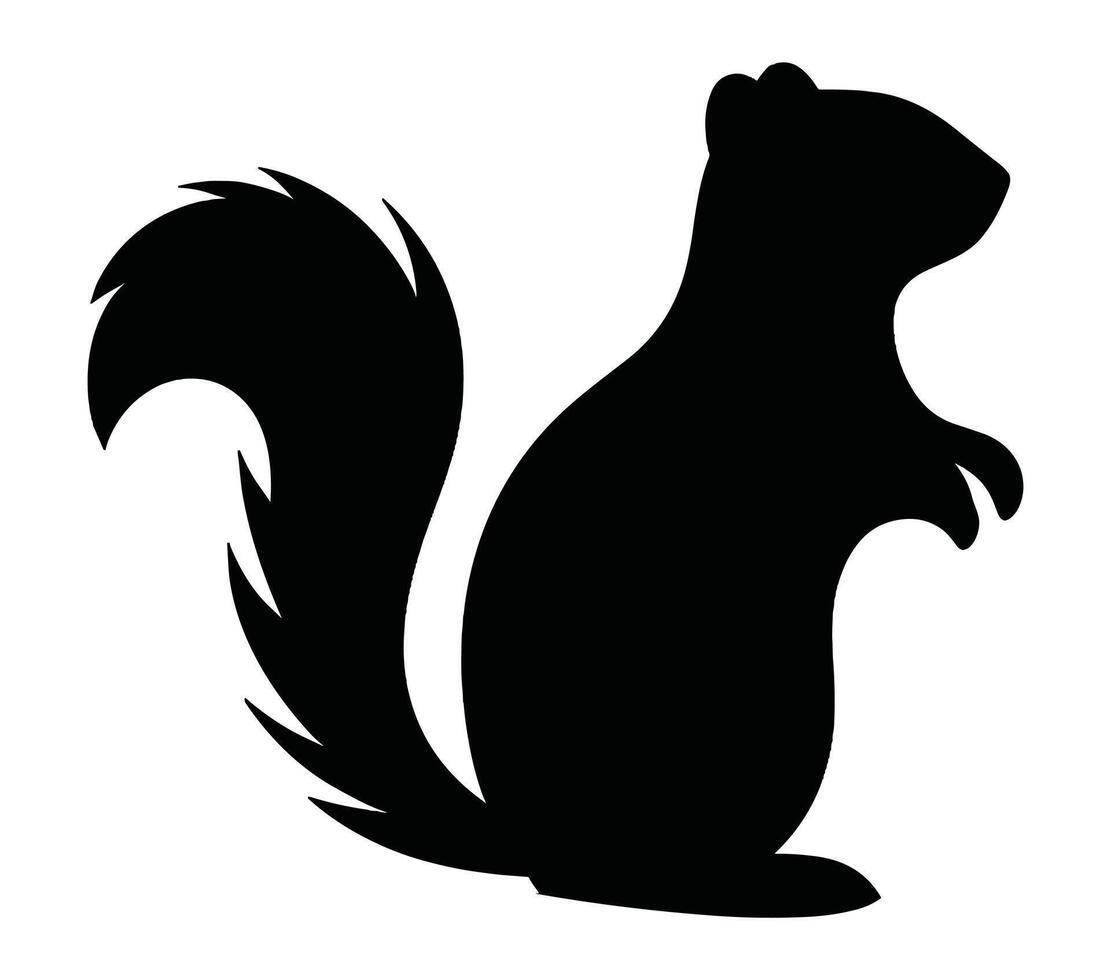 African ground squirrel vector illustration design art.