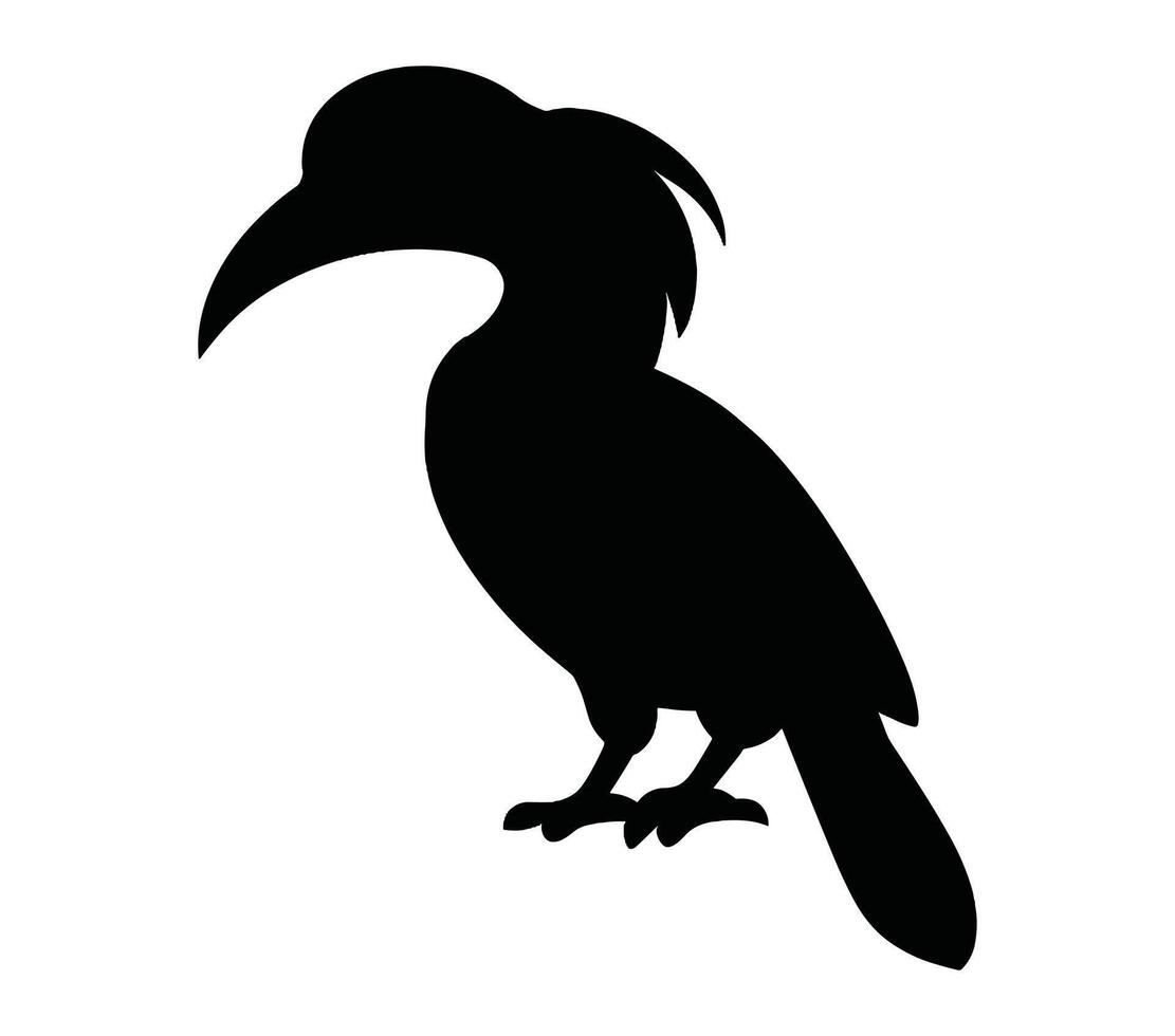 Black and white vector illustration of african gray hornbill.