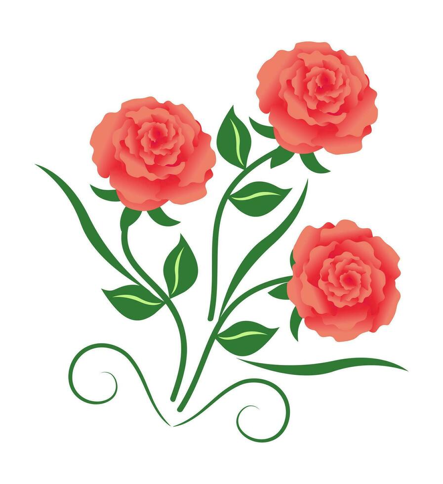 Tres rosas con verde hojas y tallos vector